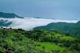 Read more about the article What attracts people to visit the Mambilla Plateau?